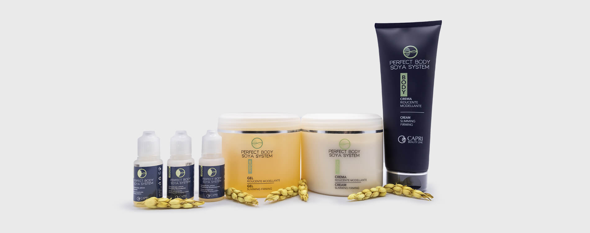 Perfect Body Soya System